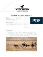 Sinbad Wild Burro Gather (Day 2) PDF.pdf
