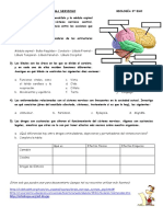 Actividad Sistema Nervioso Biologa 3 Eso