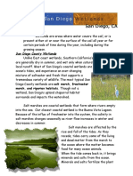 What Is A Wetland?: Salt Marsh, Freshwater Marsh, and Riparian Habitats.