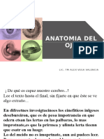 CLASE Anatomia Del Ojo