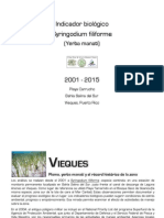 Repunte de Plomo en Syringodium Filiforme (Vieques, PR)