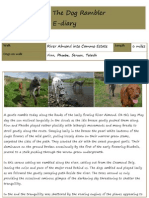 The Dog Rambler E-Diary 3 May 2010