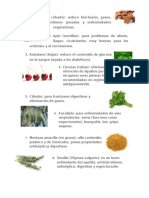 10 plantas medicinales