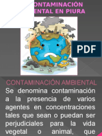 Contaminación-Ambiental.pptx