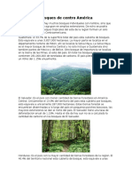 Bosques de Centro América