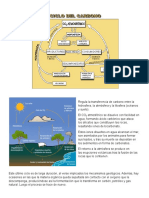 CICLO DEL CARBONO