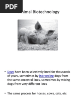 Download Animal Biotechnology by Daniel Pulido Rojas SN308715049 doc pdf