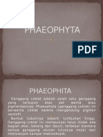 5.PHAEOPHYTA.pptx