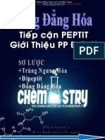 Tiếp Cận PEPTIT Và Đồng Đẳng Hóa