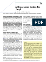Science-based Bioprocess Design for Filamentous Funfi_2013