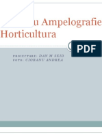 Ampelografie Horticultura