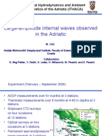 Large-Amplitude Interval Waves Observed in The Adriatic