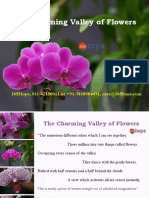 The Charming Valley of Flowers