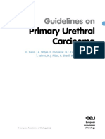 08 Primary Urethral Carcinoma LR1