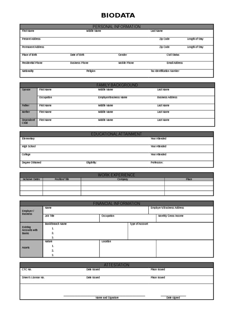 Comprehensive Biodata Template | PDF
