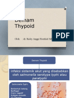 Demam Tipoid