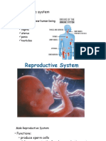 Reproductive System Lecture Website