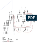 D. Genogram