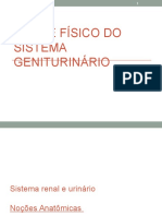 Exame Físico Aparelho Geniturinário