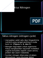 Siklus Nitrogen