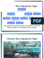 Aquarium