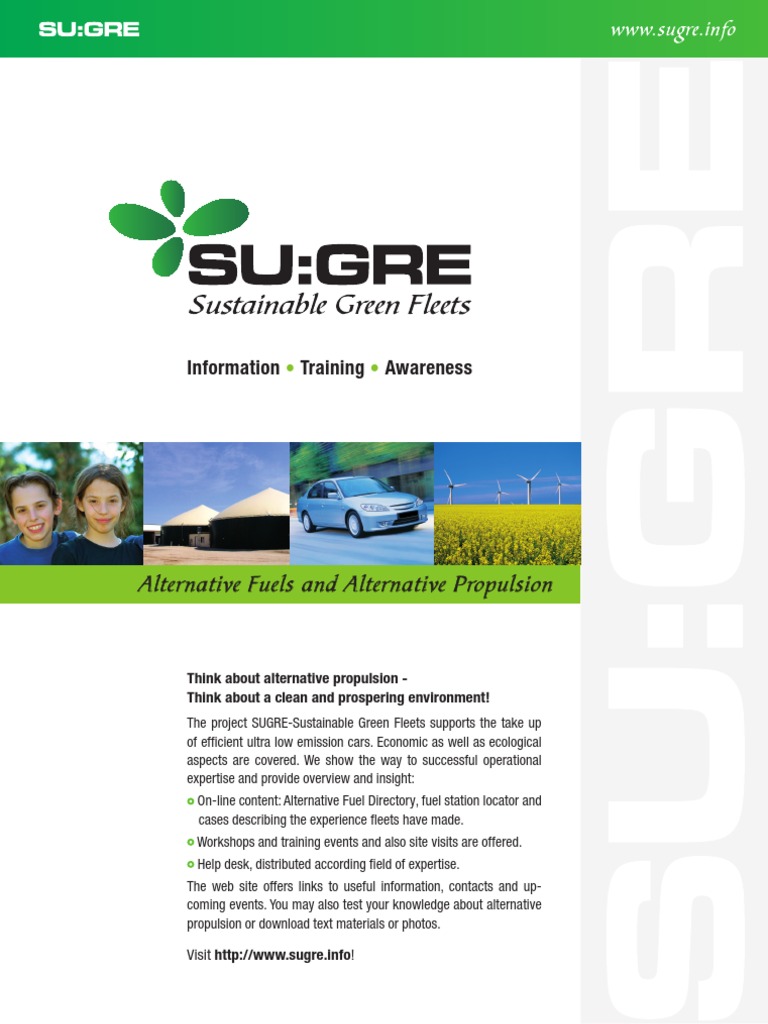 Sustainable Green Fleets | PDF | Sustainability | Car