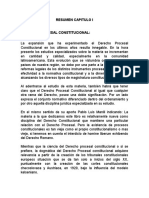 Derecho Procesal Constitucional