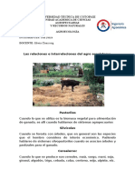 agroecologia