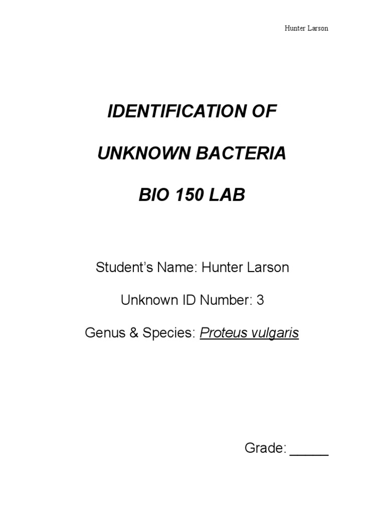 Microbiology Unknown Lab Report Gram Negative Bacteria Clinical