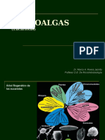 Clase 7 - Microalgas