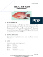 Download ikan mujair by petoeah SN3089783 doc pdf