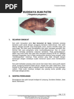 Pembenihan Ikan Patin