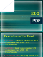 ECG.ppt