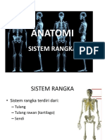 Anatomi Rangka Manusia