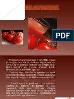 Sucul de Tomate
