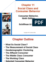 Social Class and Consumer Behavior