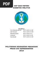 Download Sap Komunitas Penyuluhan Diabetes Melitus Pada Lansia by Cicci Chairunisa Masum SN309082262 doc pdf
