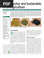 Download Biochar and Sustainable Agriculture by SusanThorntonHu SN30908774 doc pdf