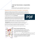 Regulación de Las Funciones Corporales y Homeostasis