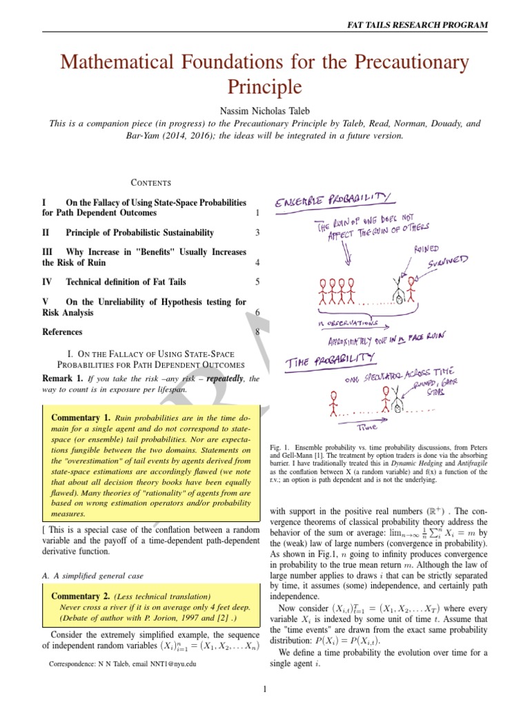 Precautionary principle essay picture