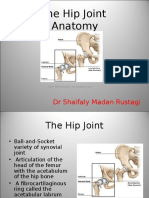 The Hip Joint Anatomy: DR Shaifaly Madan Rustagi