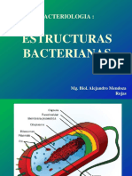 Teoria_2._Estructura_-_Nutricion__bacteriana