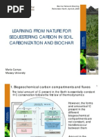 Biochar - Learning From Nature