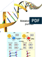 Metabolismo de Purinas