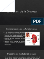 Excreción de La Glucosa