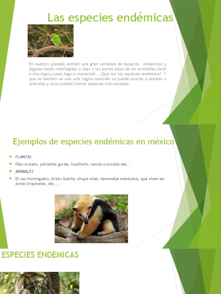 Las Especies Endémicas | PDF