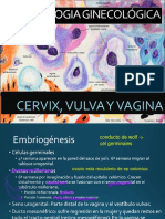 1. Patologia Cervical 2016