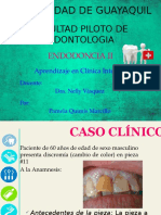 Endodoncia - Obliteración Del Conducto
