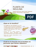 Planta de Insulina