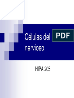 Clase 8 Estructura Histológica Del Tejido Del Sistema Nervioso. Celulas y Fibras Nerviosas